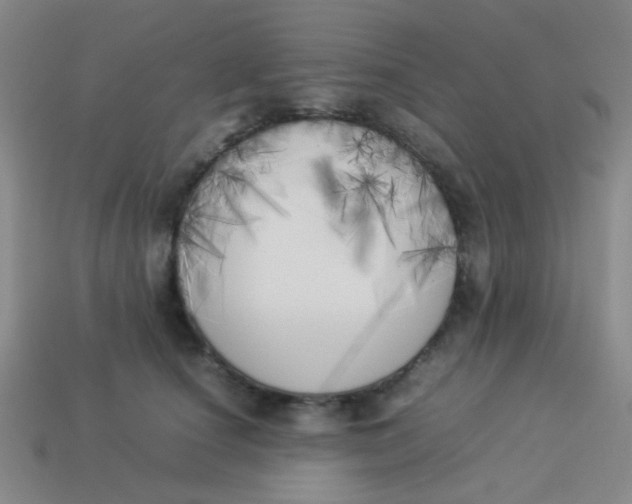 X0000113890660200910151336