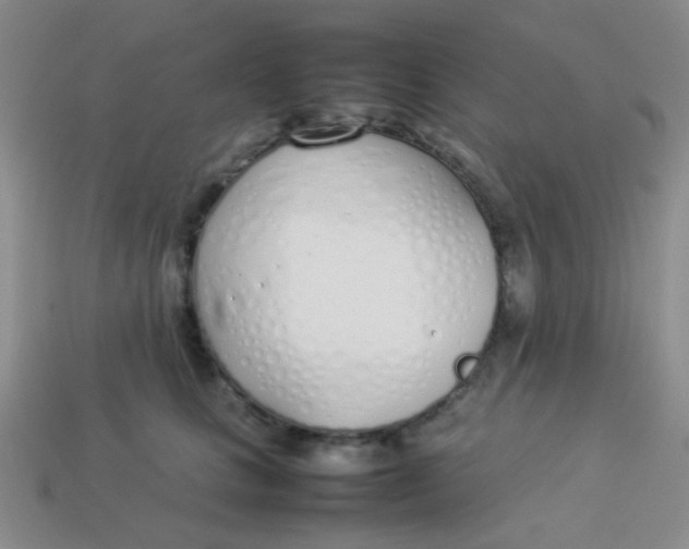 X0000113890661200910151336