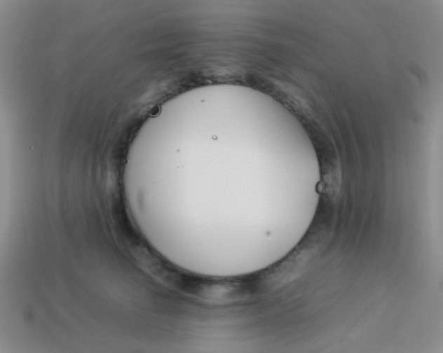 X0000113890662200910151336
