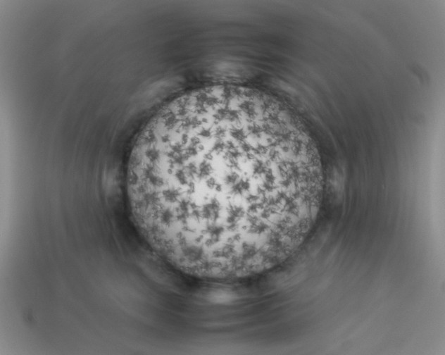 X0000113890663200910151336