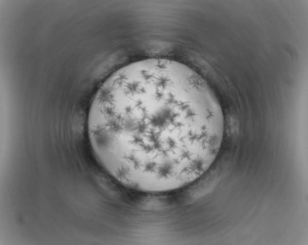 X0000113890664200910151336