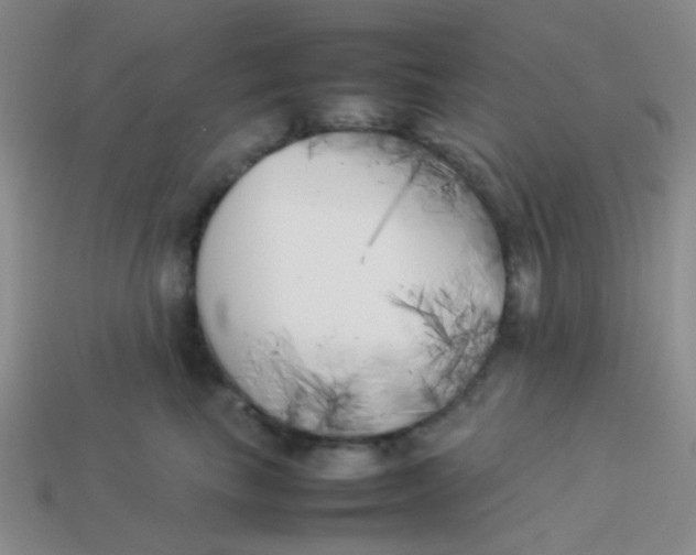 X0000113890665200910151336