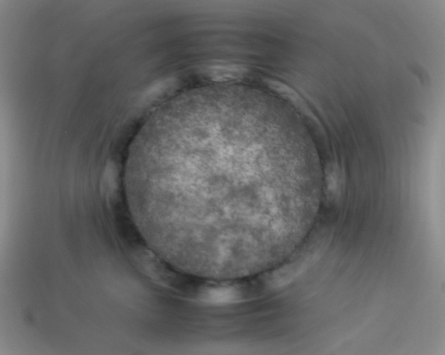 X0000113890667200910151336