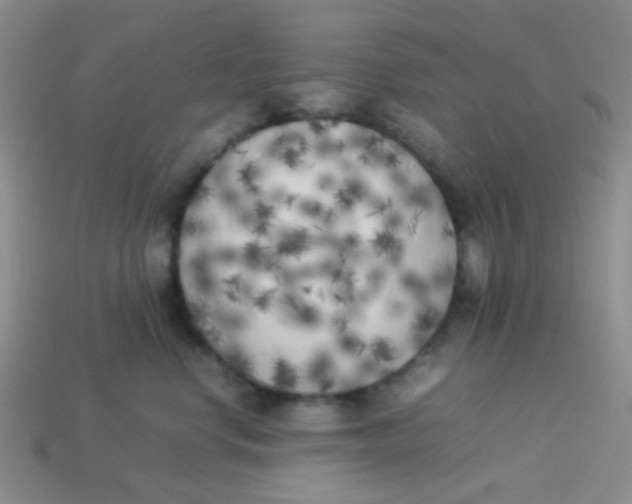 X0000113890668200910151336