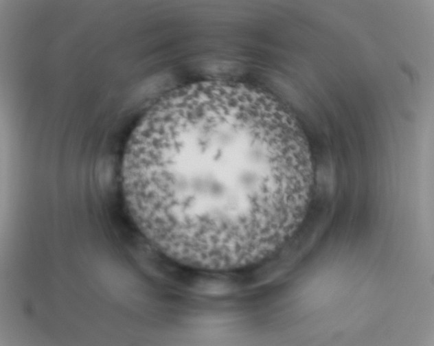 X0000113890671200910151336