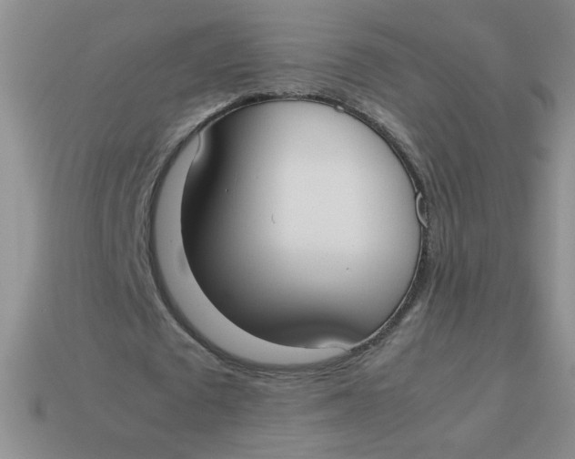 X0000113890673200910151335