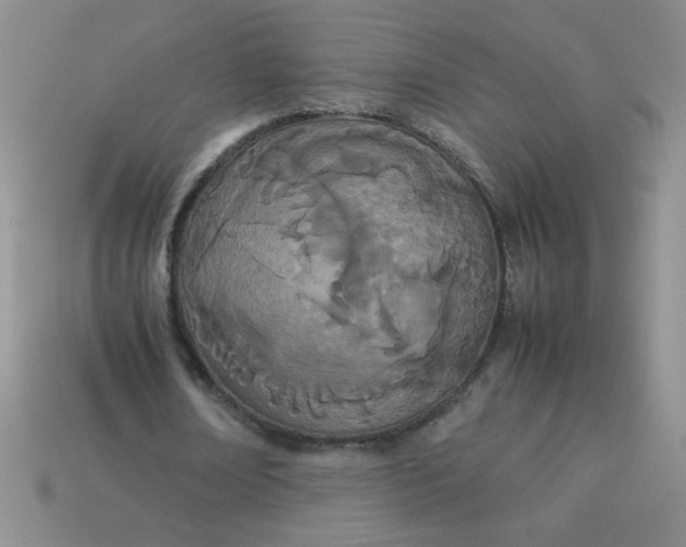 X0000113890674200910151335