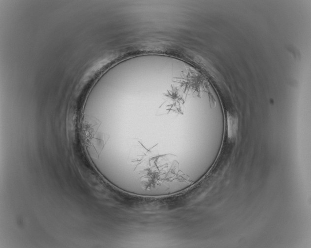 X0000113890675200910151335