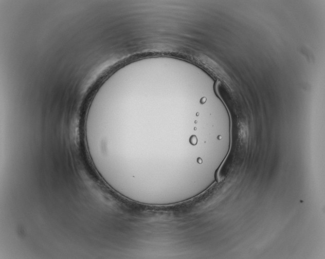X0000113890676200910151335