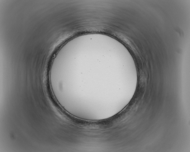 X0000113890677200910151335