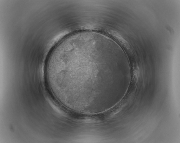 X0000113890678200910151335