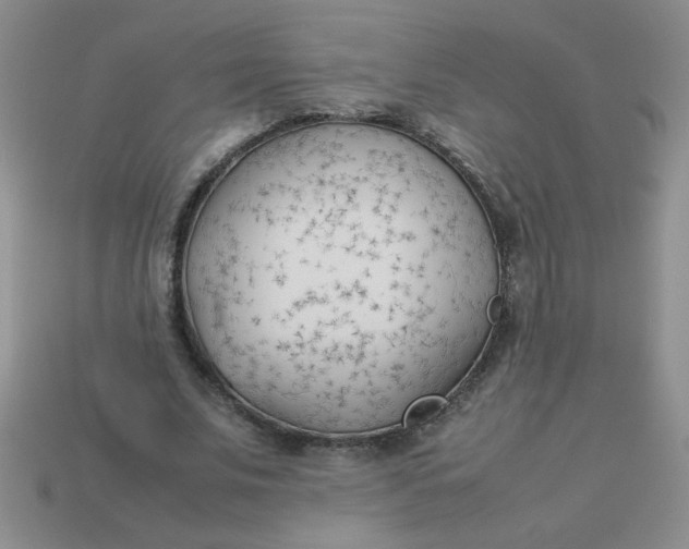 X0000113890679200910151335