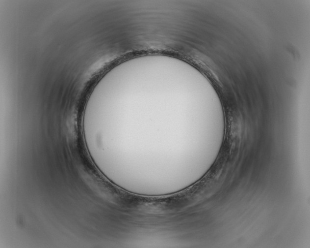 X0000113890680200910151335