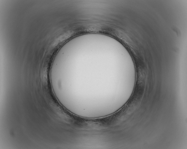 X0000113890681200910151335