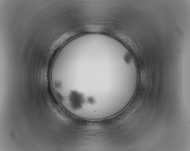 X0000113890682200910151335