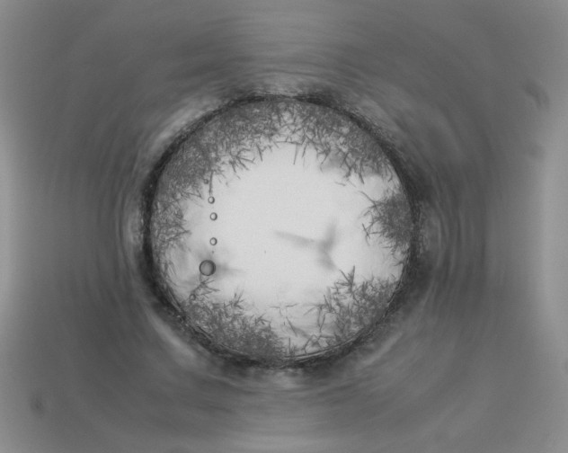X0000113890683200910151335