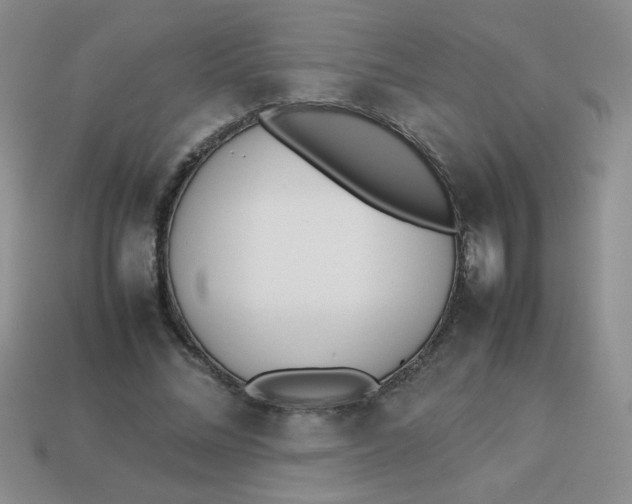 X0000113890684200910151335