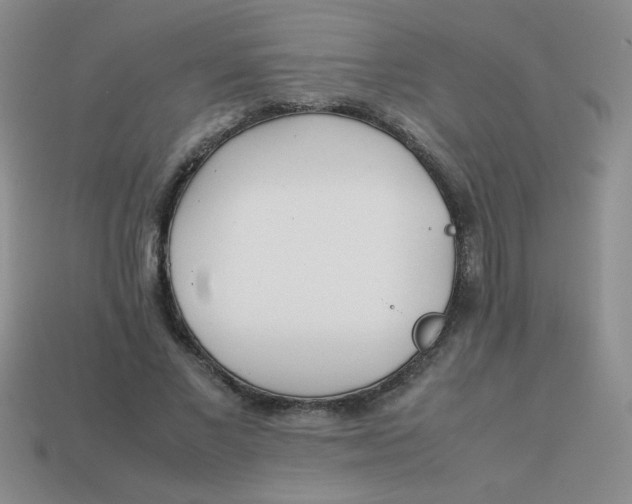 X0000113890685200910151335