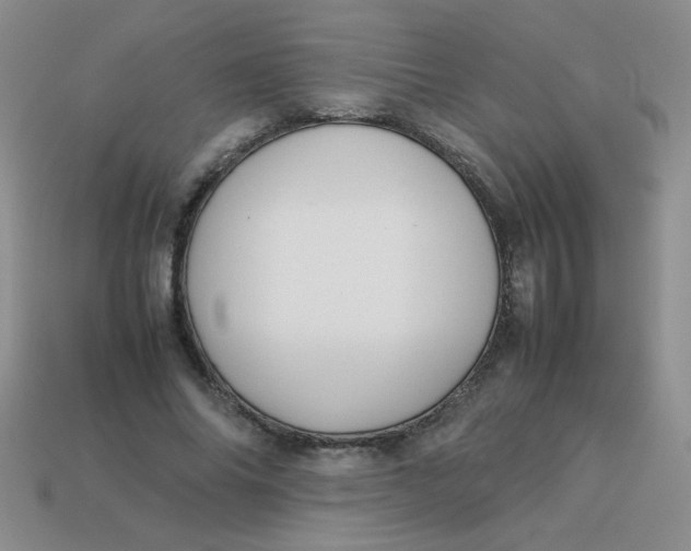 X0000113890686200910151335