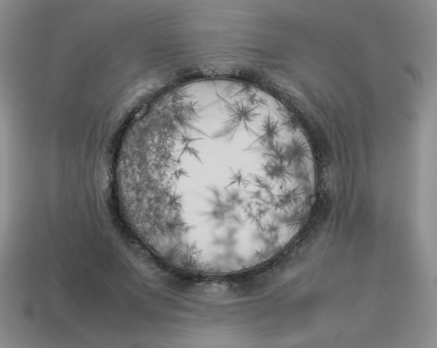 X0000113890687200910151335
