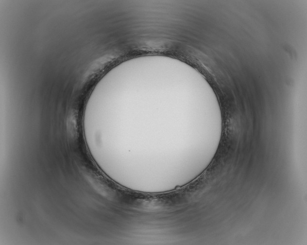 X0000113890688200910151335