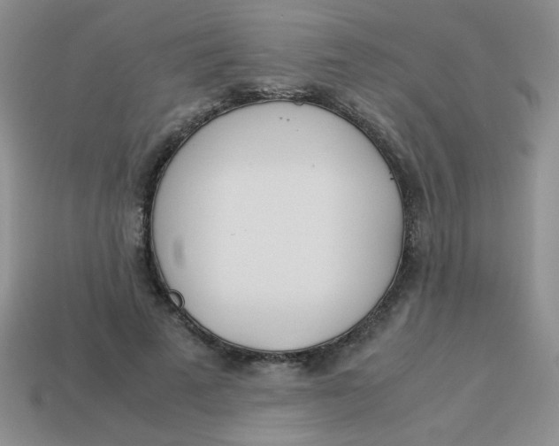X0000113890689200910151335