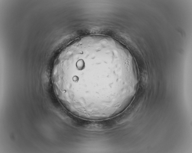 X0000113890691200910151335