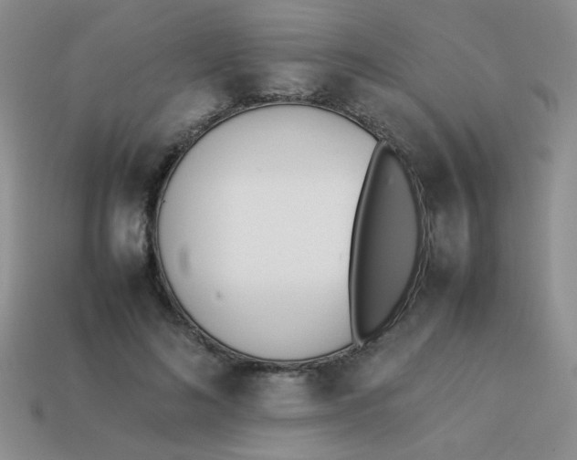X0000113890692200910151335