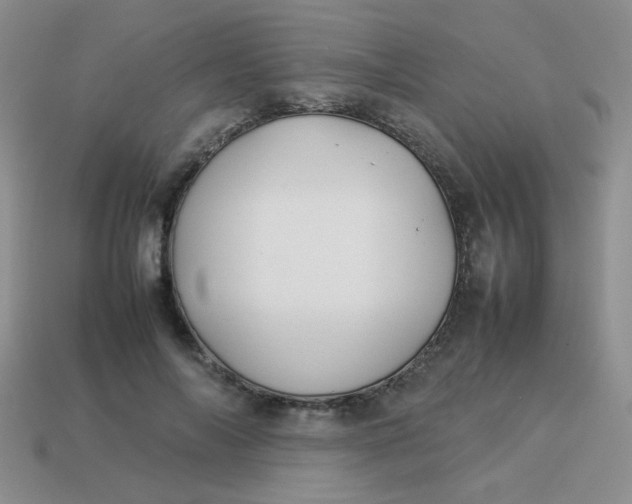 X0000113890694200910151335