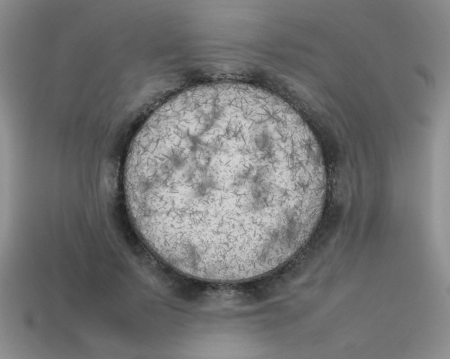 X0000113890695200910151335