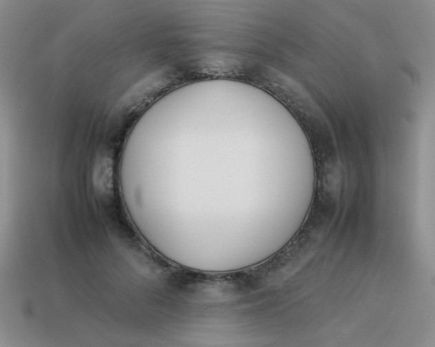 X0000113890696200910151335