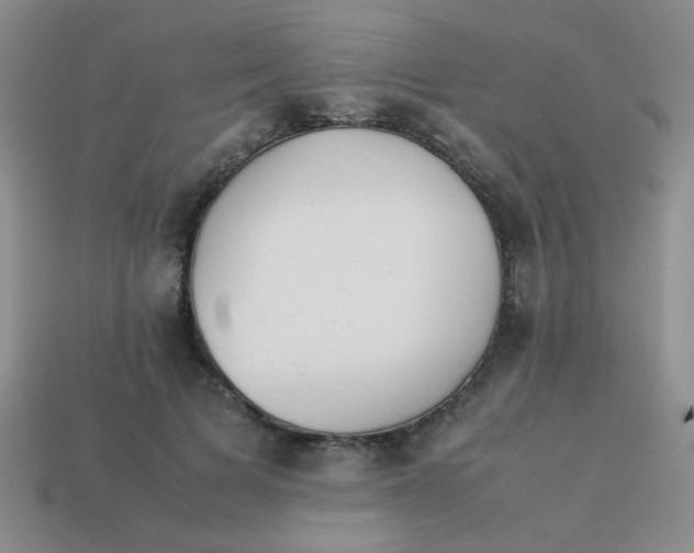 X0000113890697200910151335