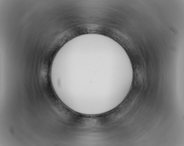 X0000113890698200910151335