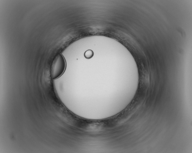 X0000113890700200910151335