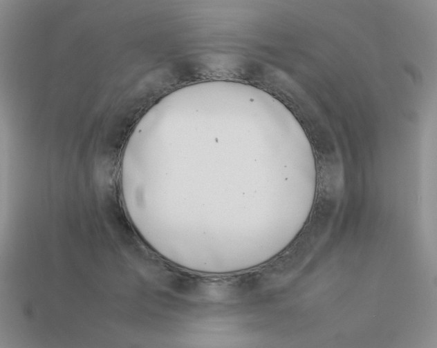 X0000113890701200910151335