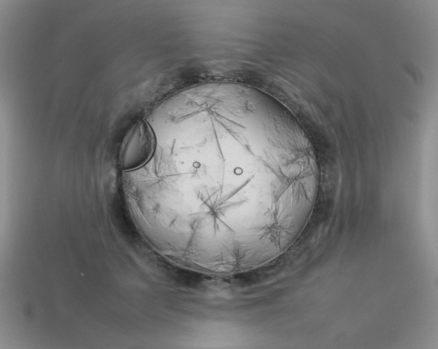 X0000113890703200910151335