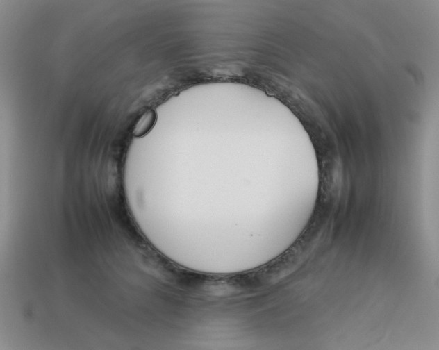 X0000113890704200910151335
