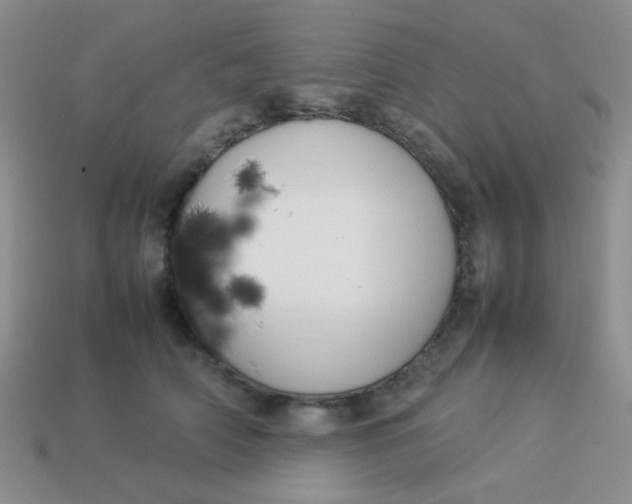 X0000113890706200910151335