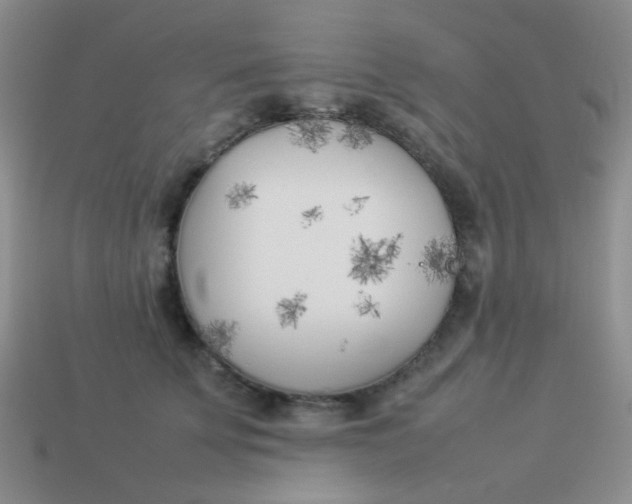 X0000113890707200910151335