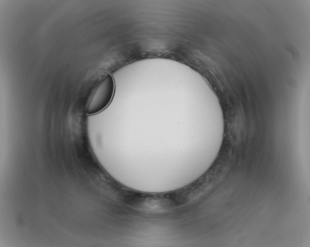 X0000113890708200910151335