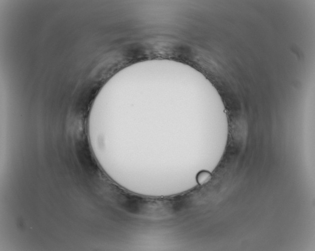 X0000113890709200910151335