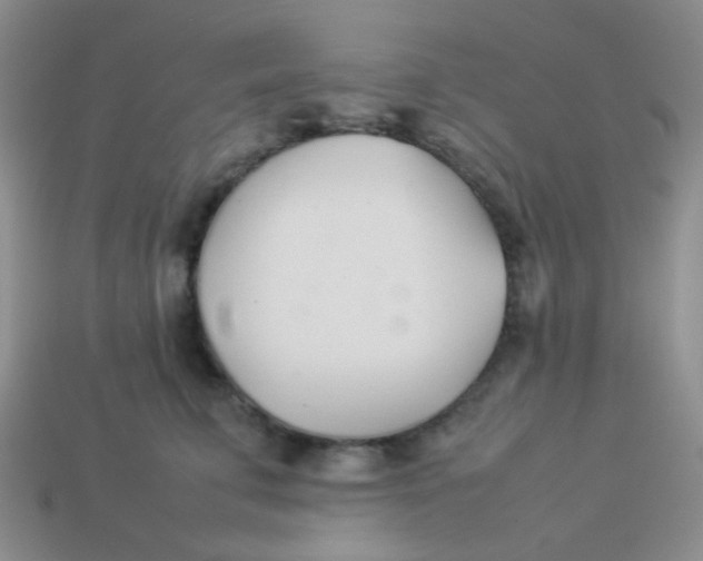 X0000113890711200910151334