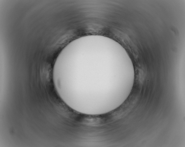 X0000113890712200910151334
