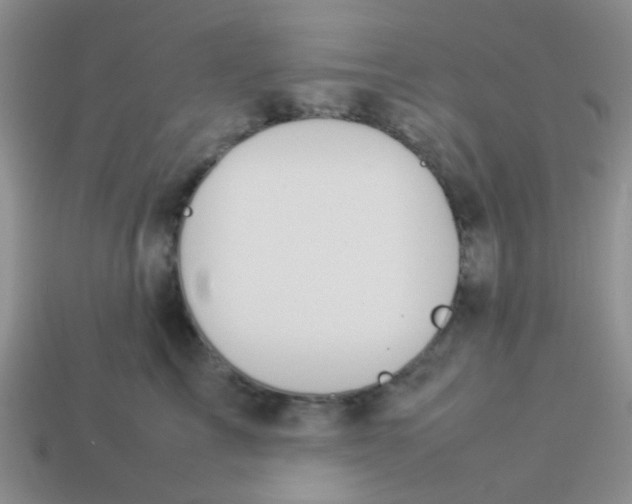 X0000113890713200910151334