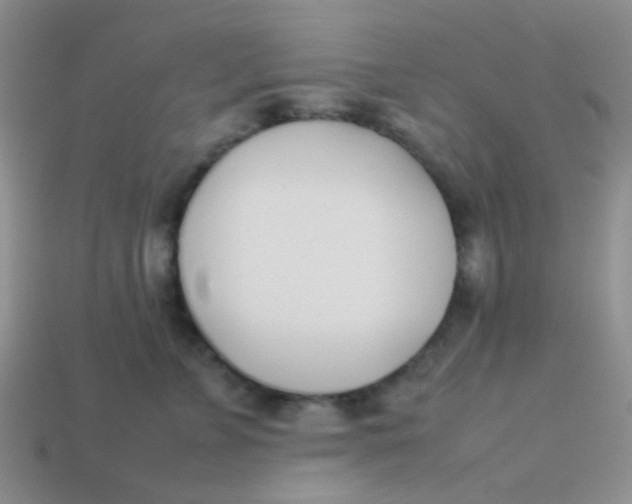 X0000113890715200910151334