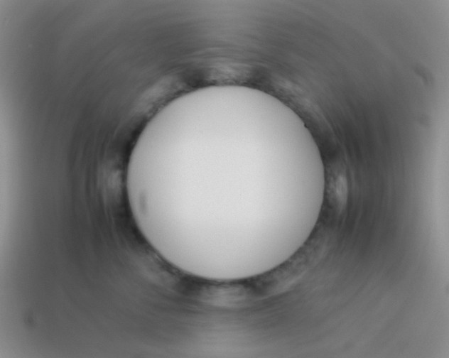 X0000113890716200910151334