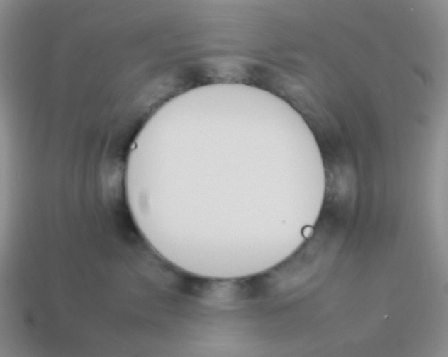 X0000113890717200910151334
