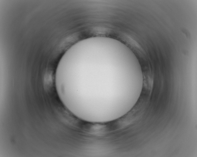 X0000113890718200910151334