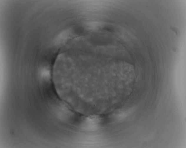 X0000113890720200910151334