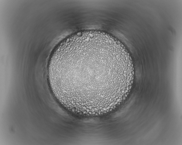 X0000113890721200910151334